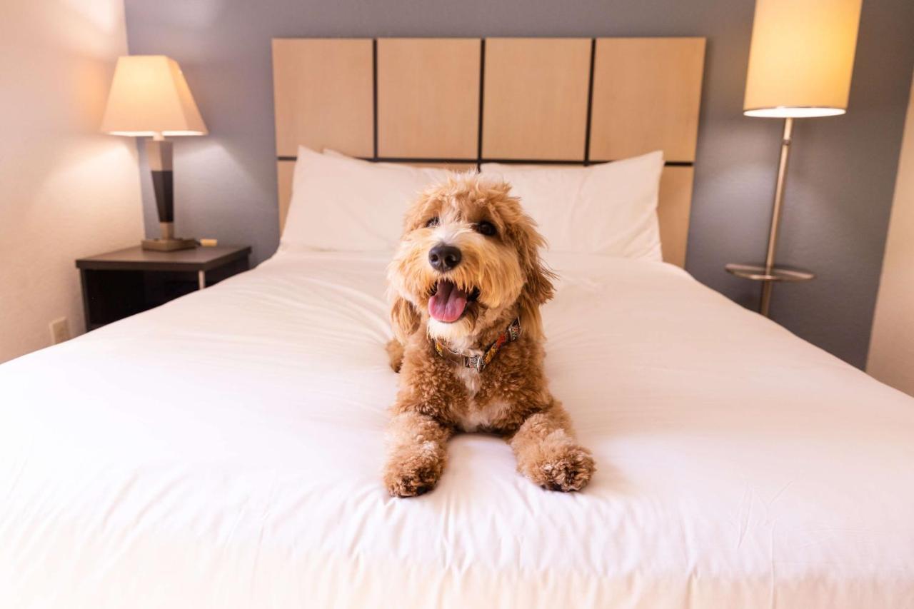 Sonesta Simply Suites Atlanta Gwinnett Place Duluth Esterno foto